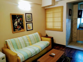 Luxurious Entire Suites/Studio Apt nearDelhi Noida